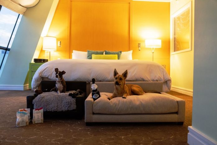 Photo of the hotel Sofitel Los Angeles at Beverly Hills: Dogs pet package